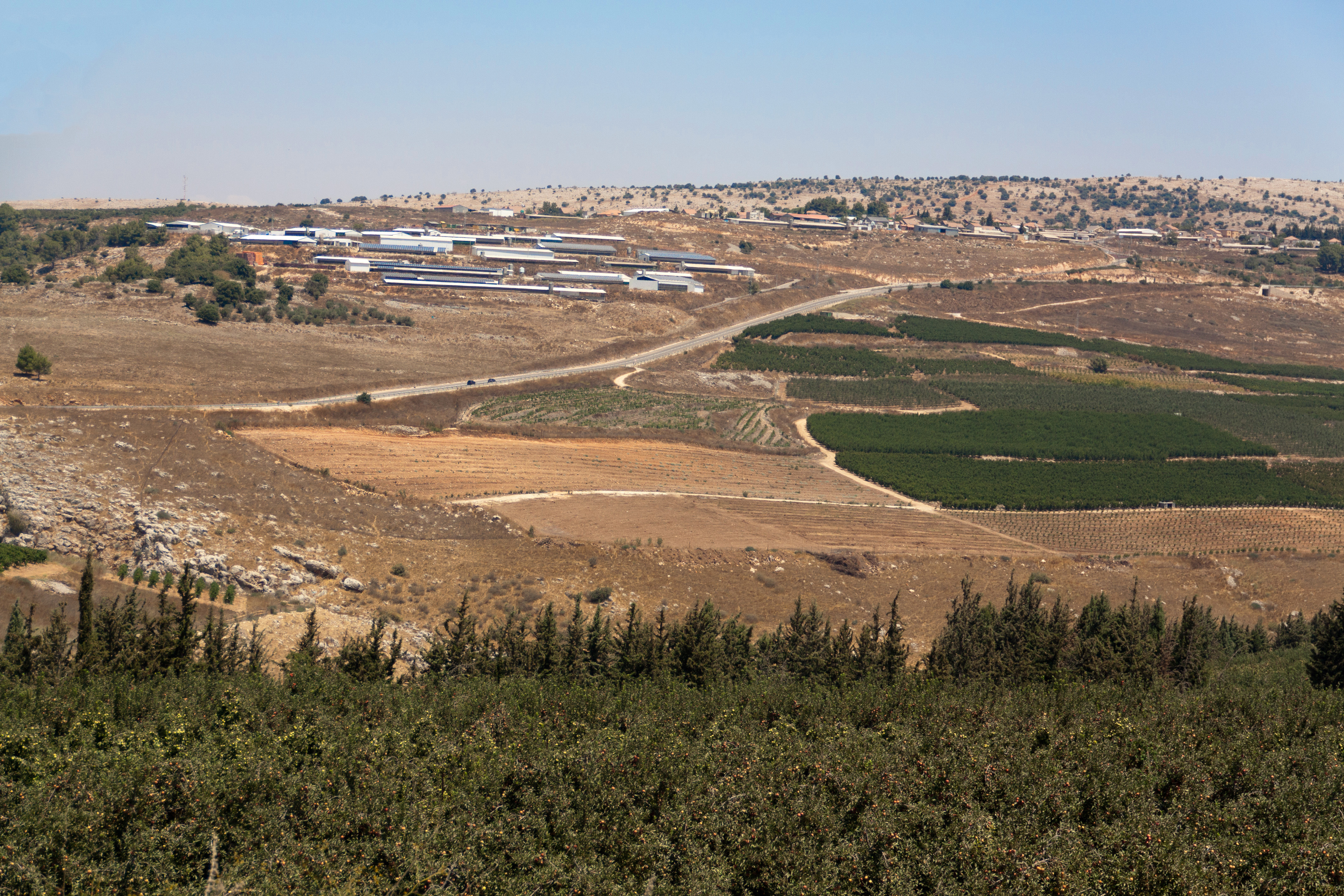 Avivim_6836.jpg