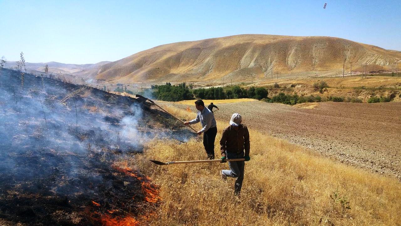 کشاورزان از آتشزدن باقیمانده محصولات زراعی خودداری کنند
