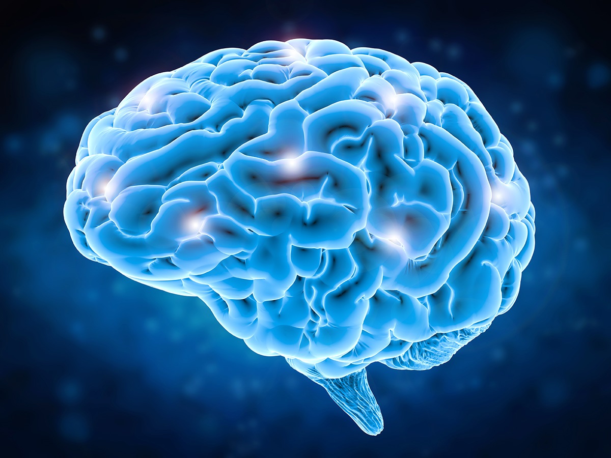 Brain.jpg