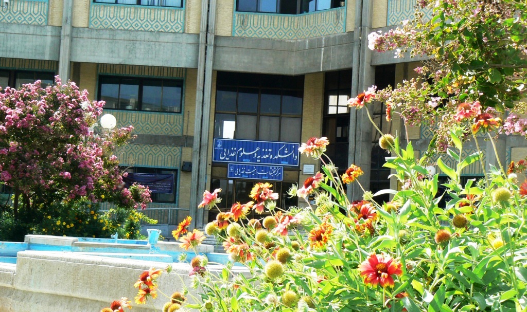ghaaza.jpg