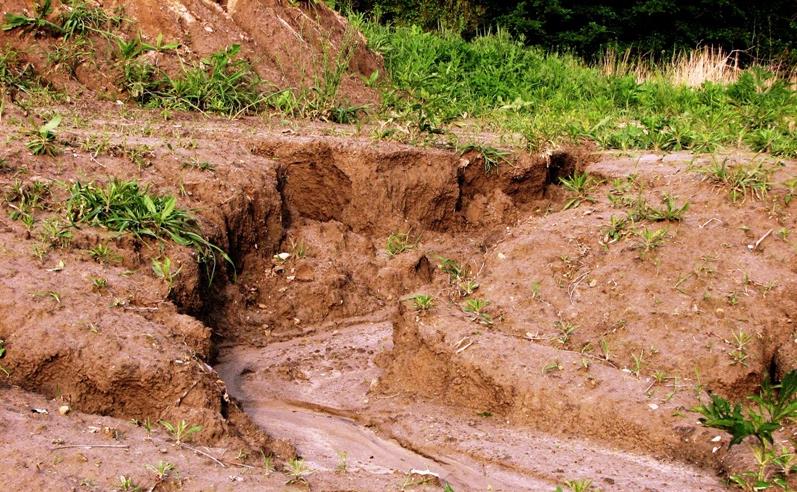 20150116193058-A_gully_formed_by_water_erosion.jpg