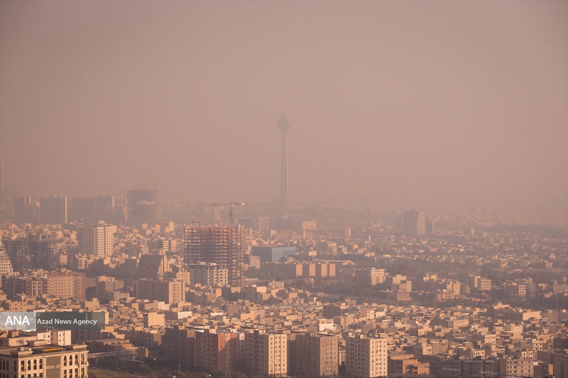 2010.jpg