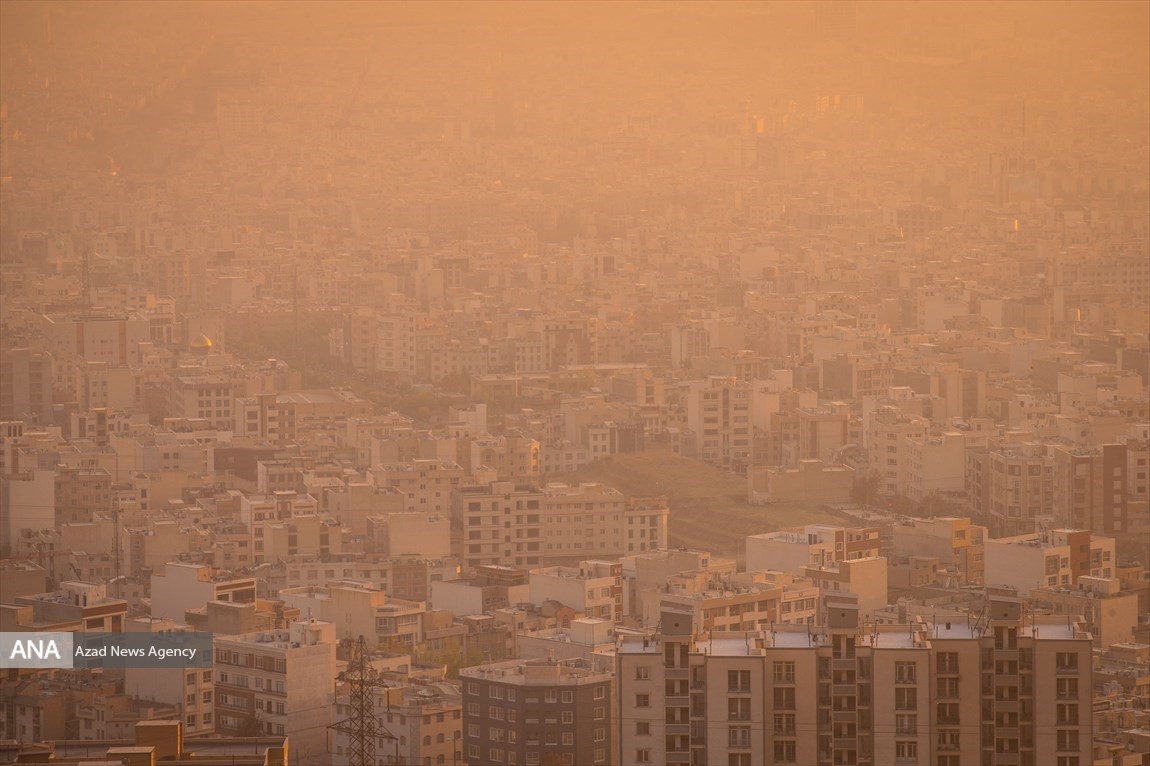 555.jpg