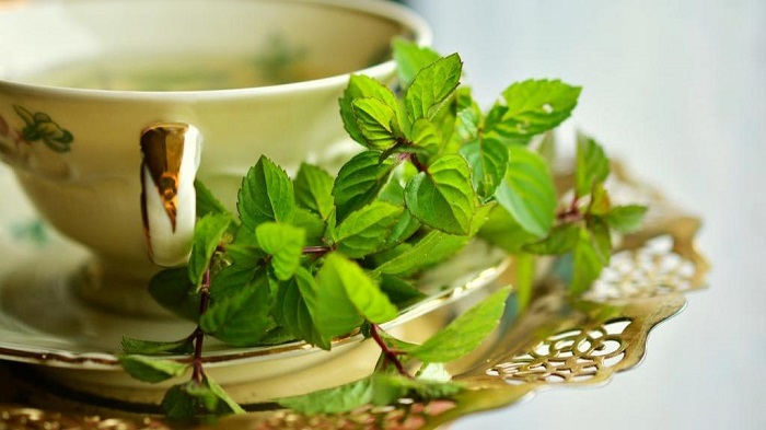 چای 1.1.jpg