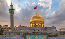 11119995_361.jpg