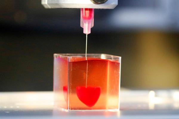 thum-5cb25a1b0f782295d35-biologic_Print_141410.jpg