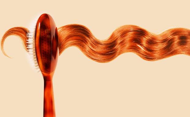 longhair-1536793055.jpg