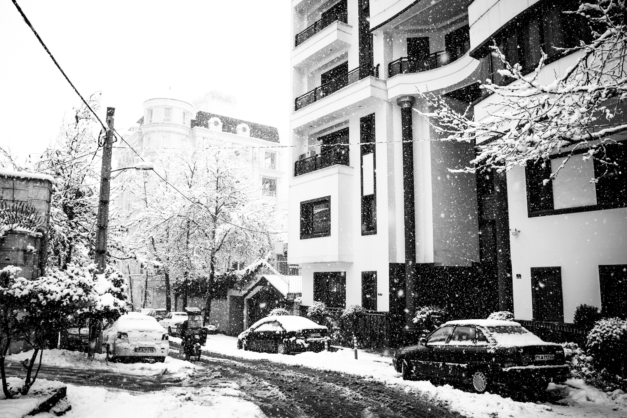 جامه سفید بر قامت تهران