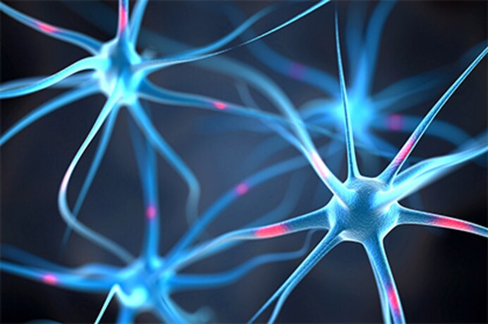 405rmq_getty_rf_neurons_in_the_brain.jpg