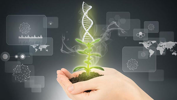 Masters-of-Entrance-Examination-of-the-Department-of-Agriculture-and-Plant-Breeding.jpg
