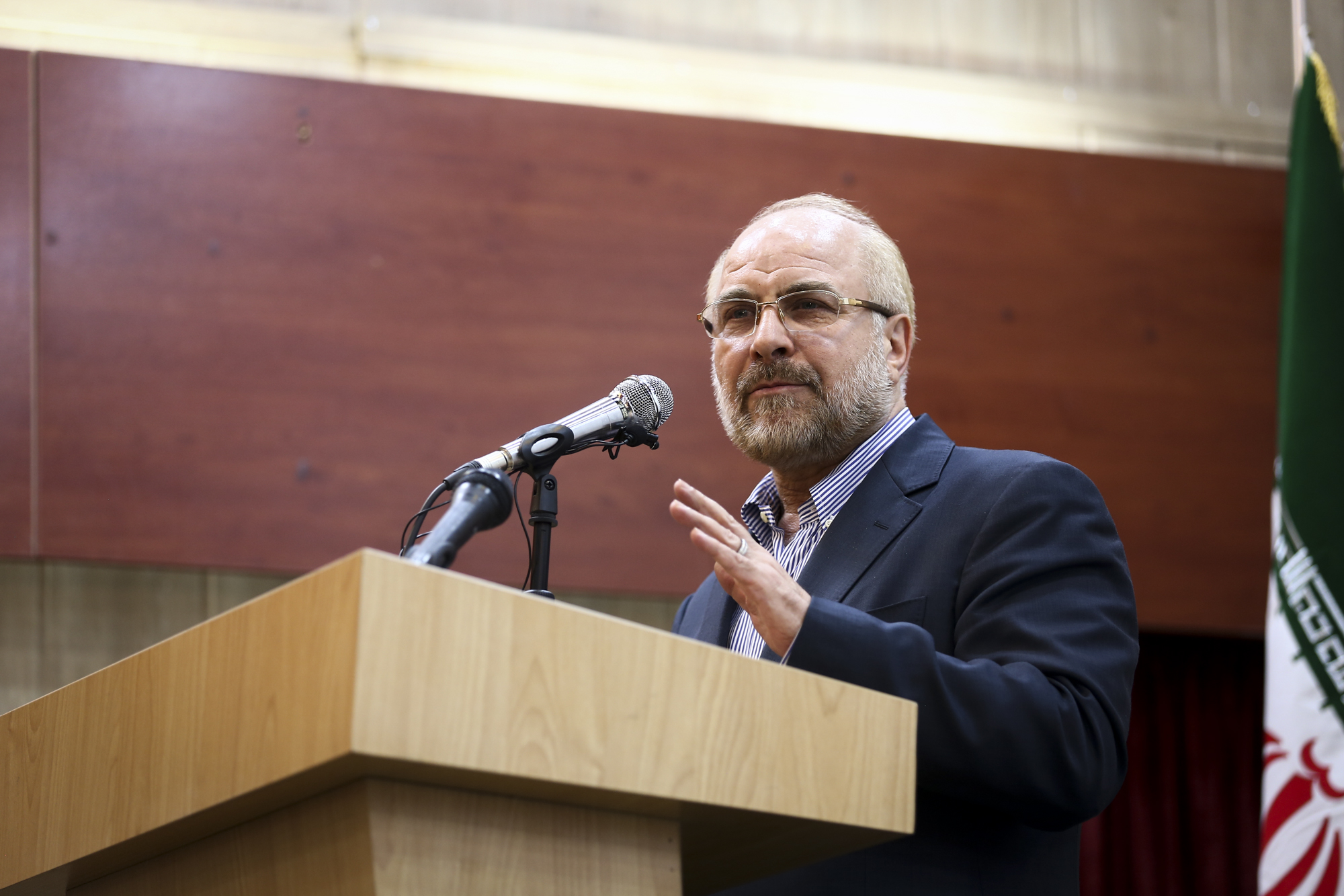 Saeed Sajjadi 19.JPG