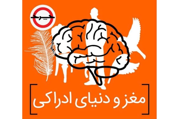 Maghz.jpg