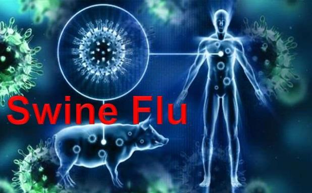 swine-flu-1-638.jpg