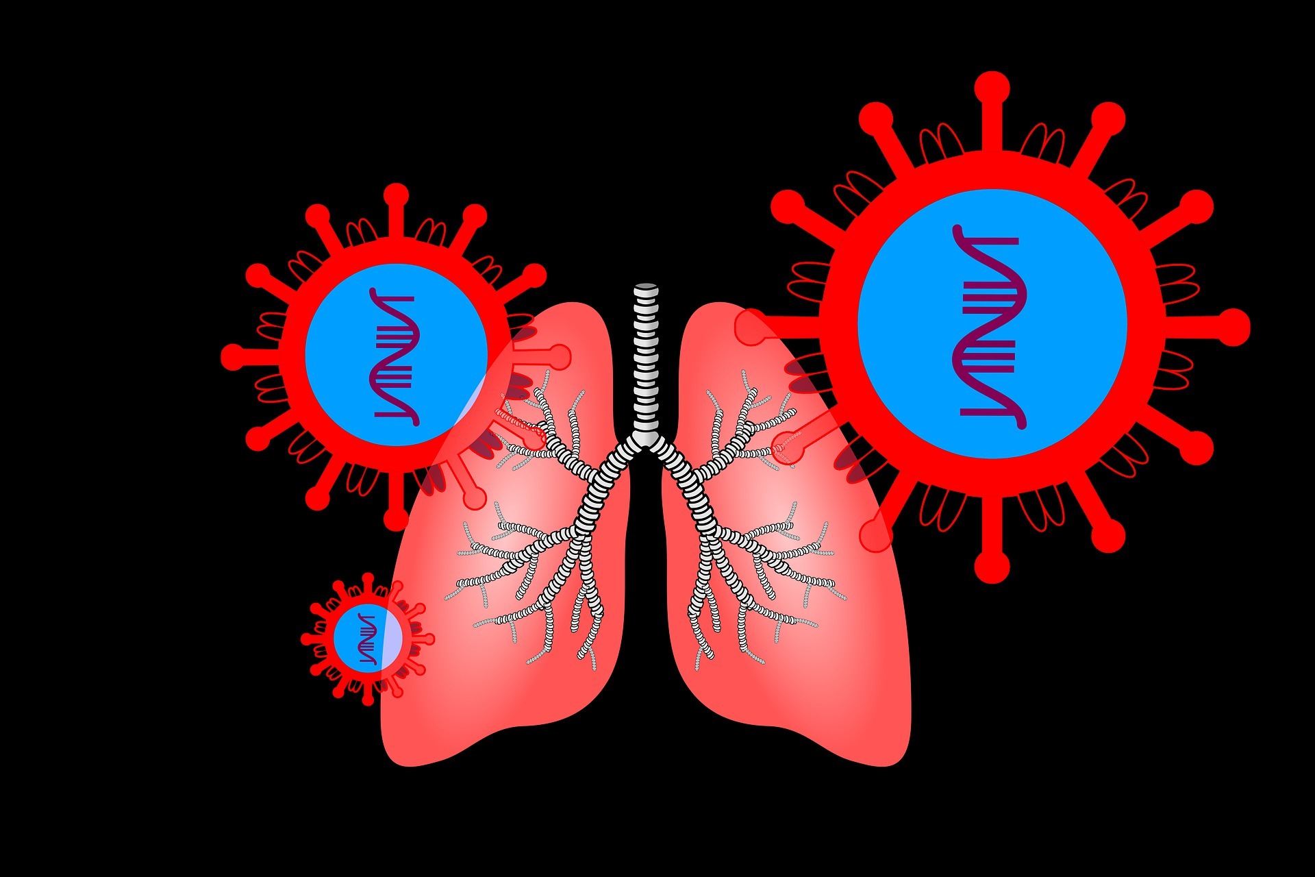 coronavirus-4844595-1920.jpg