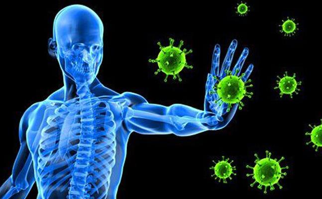 Boosting-Your-Immune-System-1-800x400.jpg