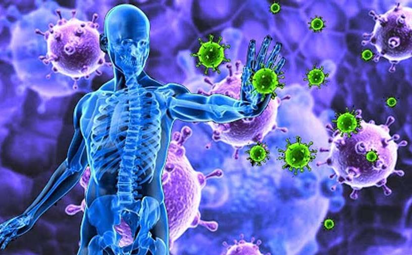 1582232171-immune-system.jpg