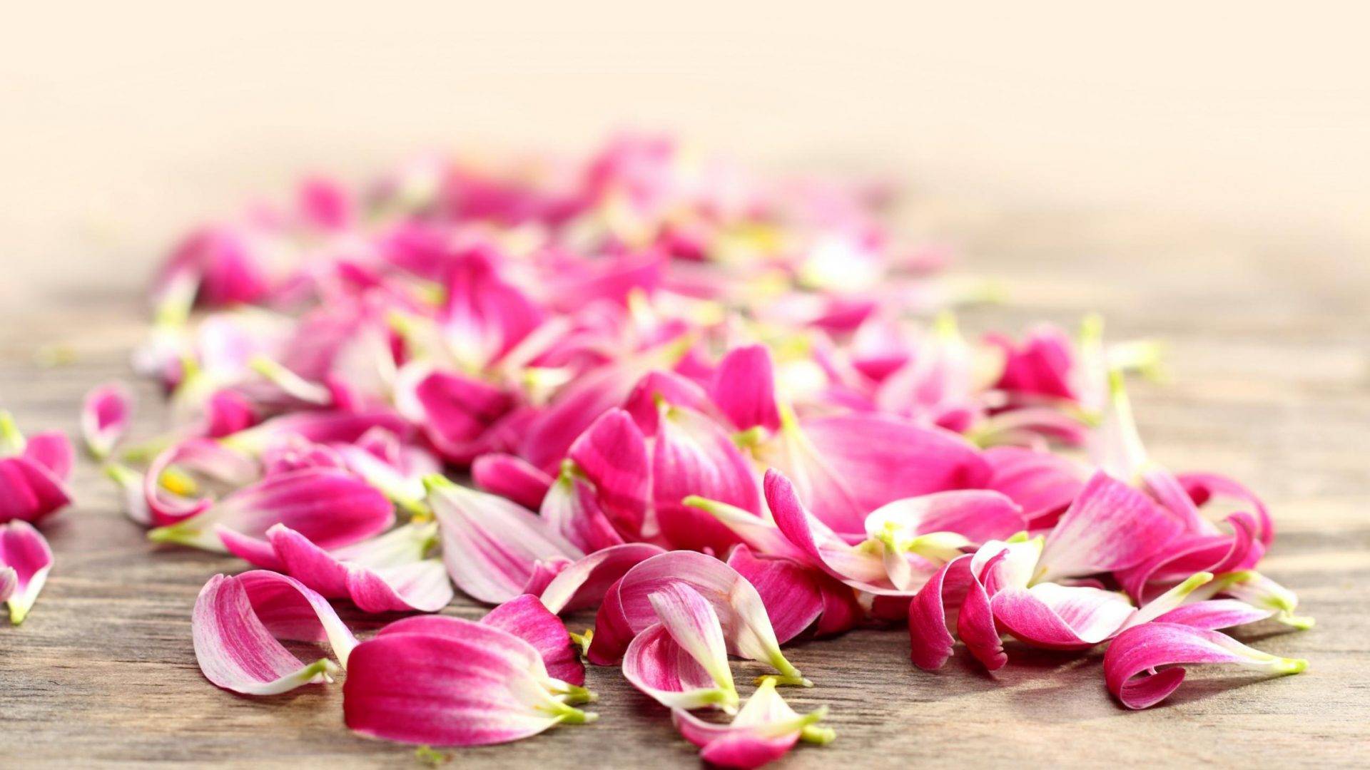 ghazal-romantic12.jpg