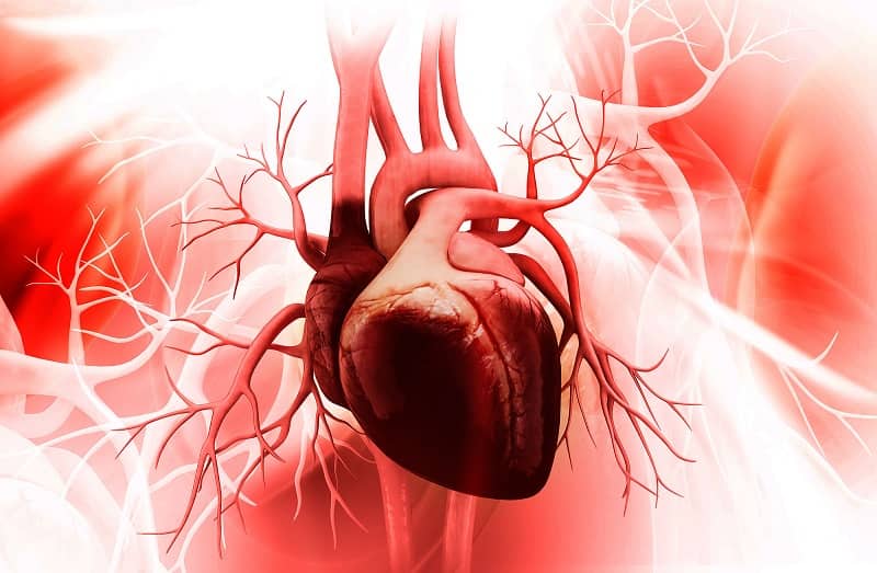 heart_1.jpg