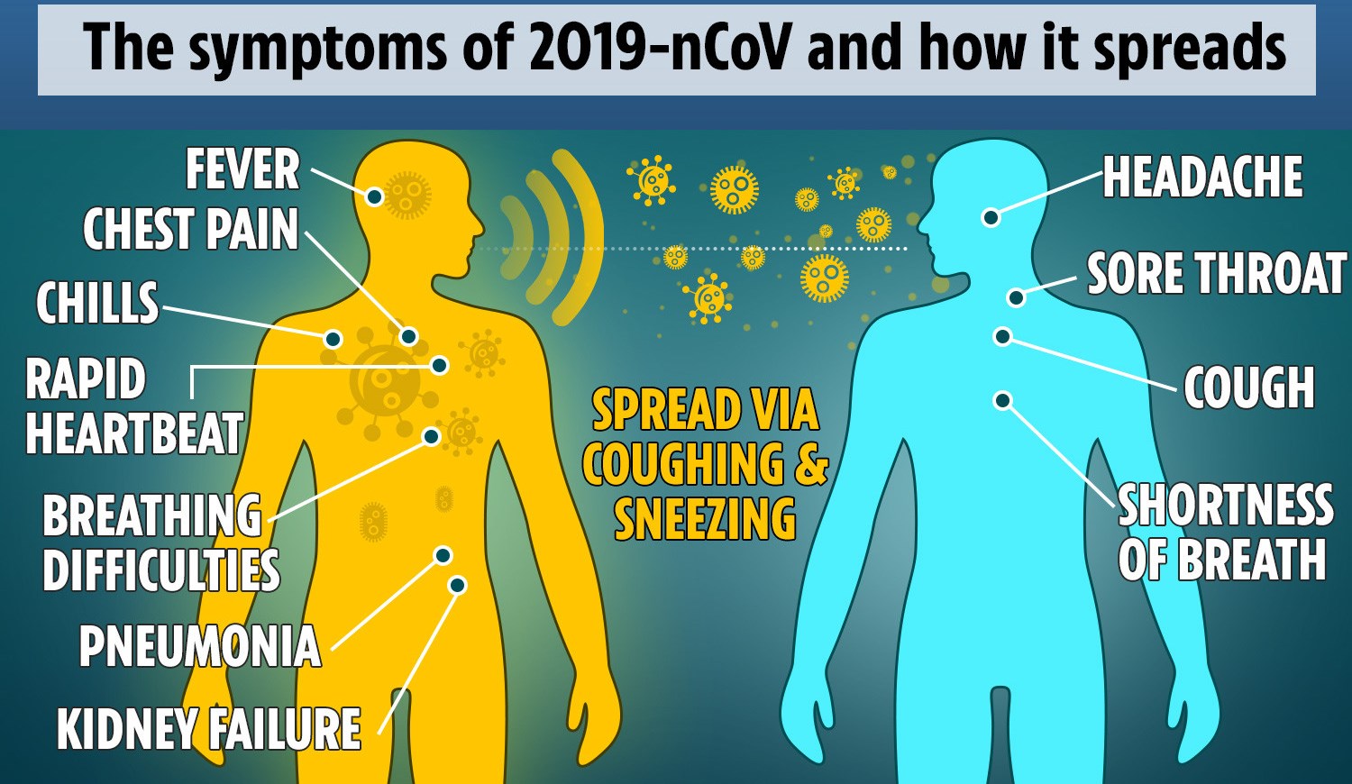 Corona-virus.jpg