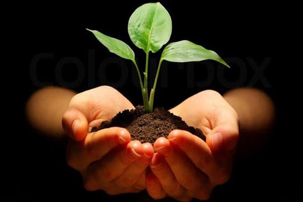 thum-f131ba705925917057b-biofrit_145092.jpg