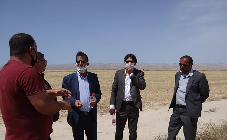 dashti.jpg