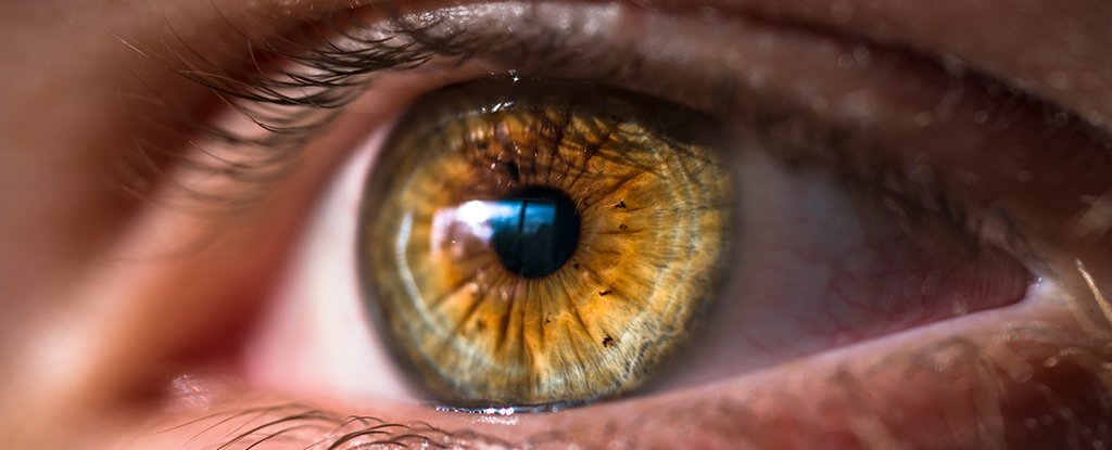 eyes-down_1024.jpg