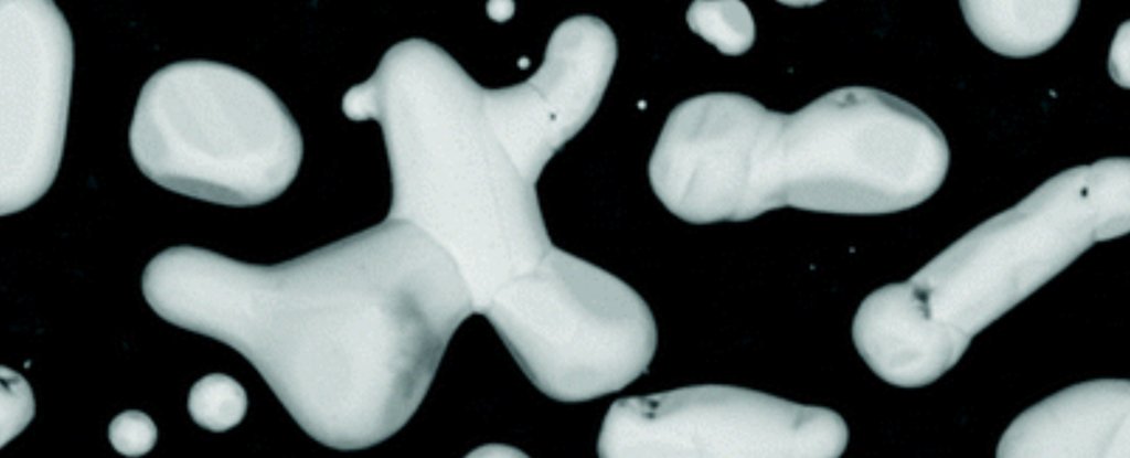 010-silver-membrane_1024.jpg