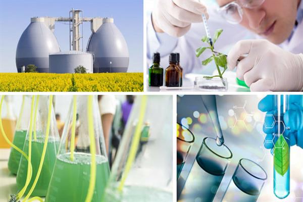 thum-aae93e8b222d50cc951-biotech-iran_146699.jpg