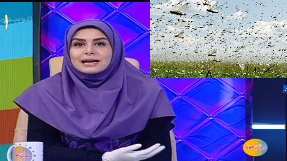 Presentation1.jpg