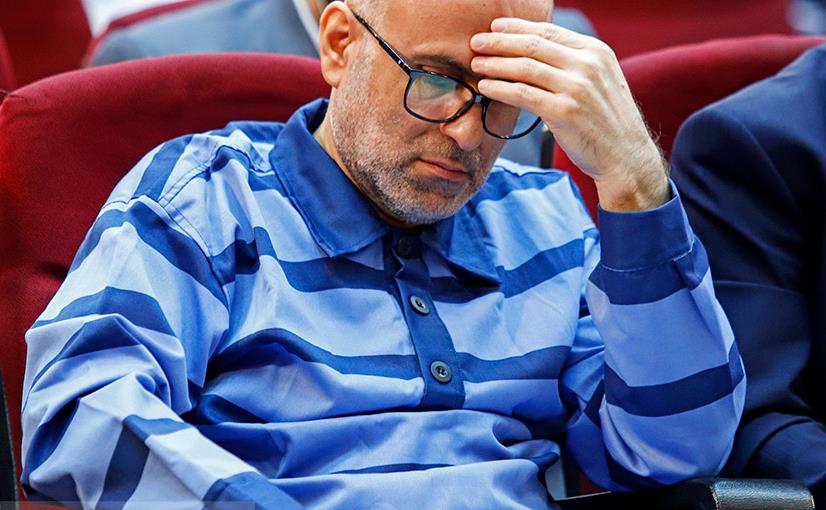 2618406_592.jpg