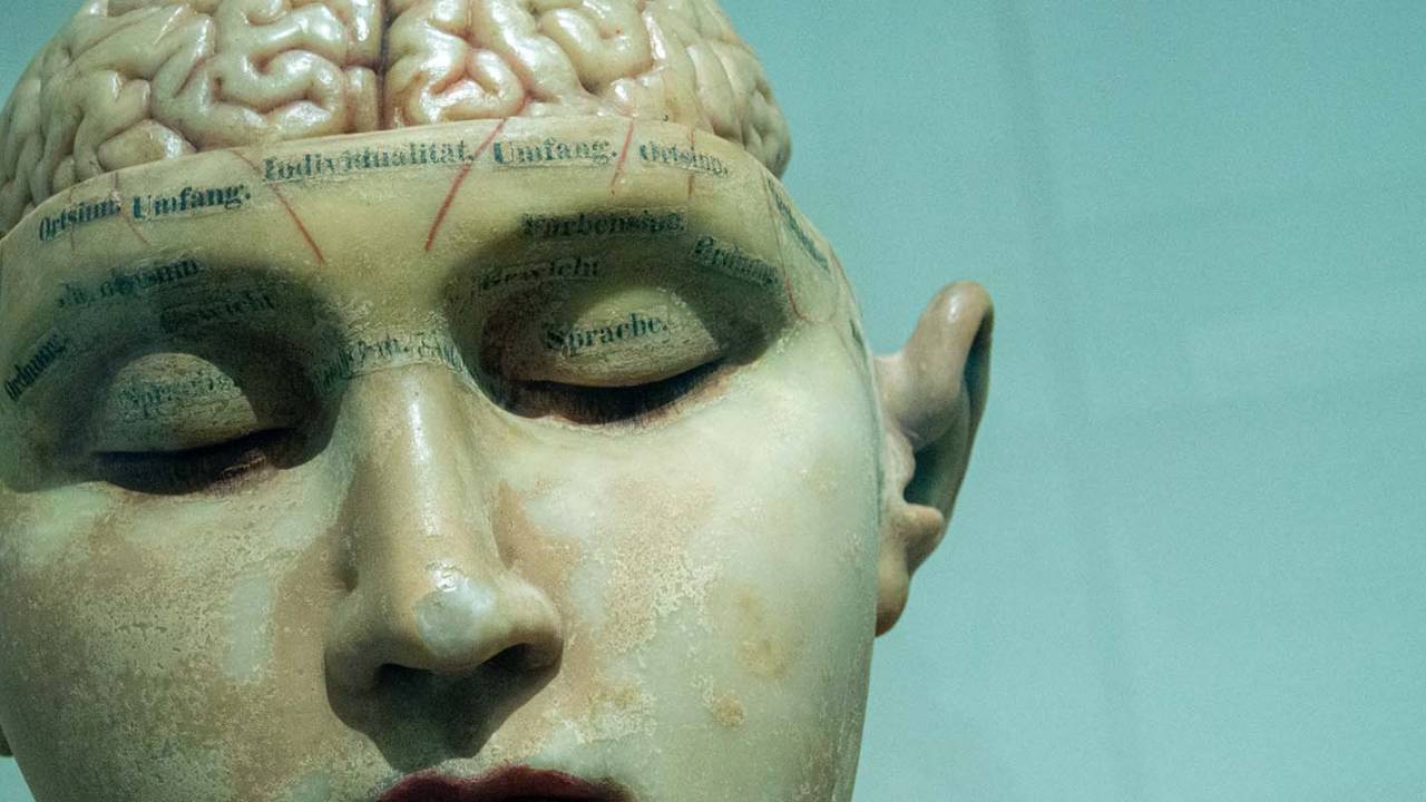 brain_head_dummy_main_uns-1280x720.jpg