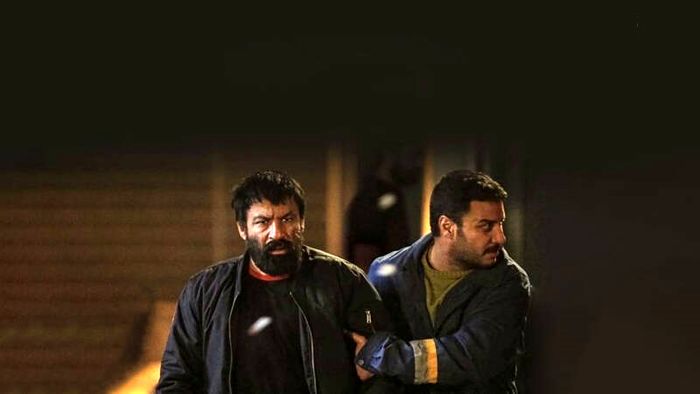 شنای+پروانه+فیلم+کارت.jpg