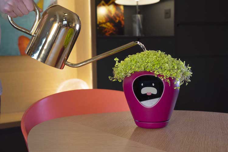 lua-smart-planter-14.jpg