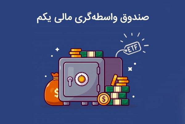 transfer-darayek-portfolio-2.jpg