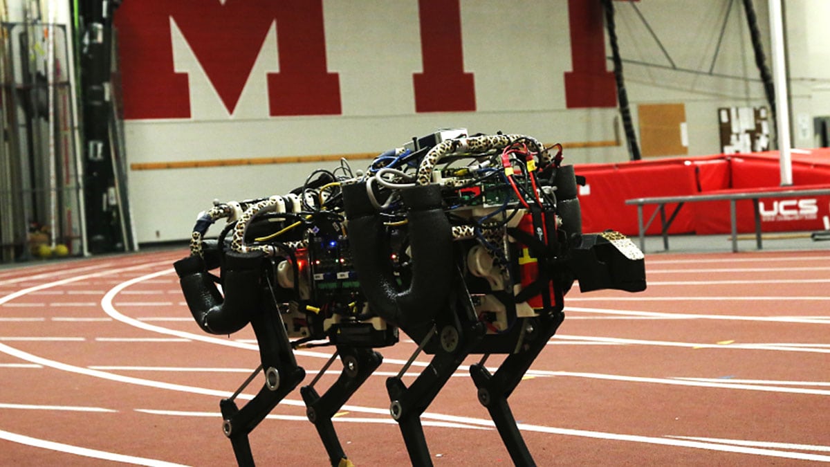 mit-robot-cheetah.jpg