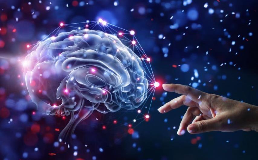 brain-illustration.jpg