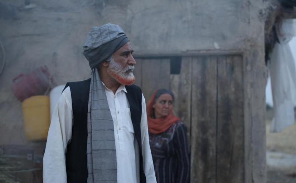 ماشوم-1024x683.jpg