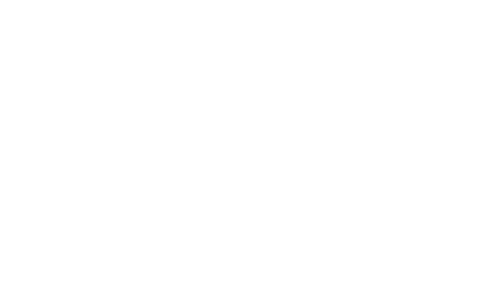 شبکه نمایش.png