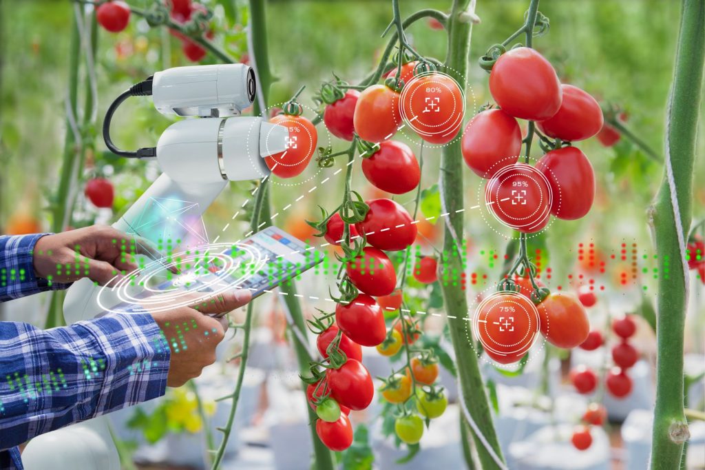 AI-in-Agriculture-1024x682.jpg