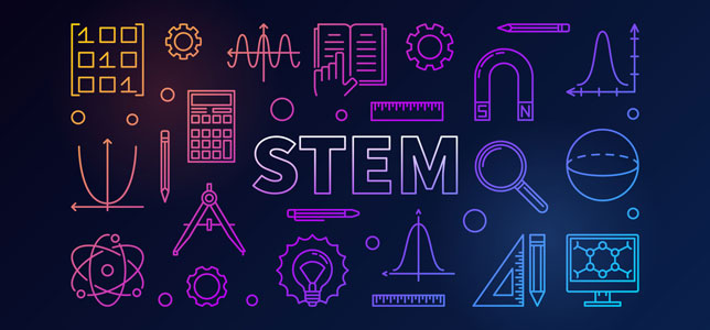 20190509stem.jpg