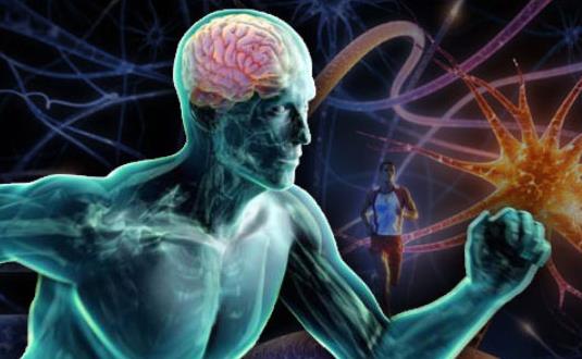 exercise-brain_featureC.jpg
