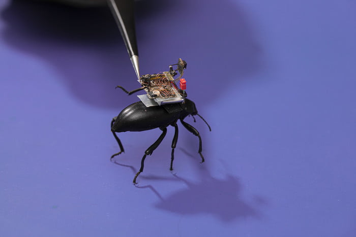 vikram-and-shayam-discuss-the-challenges-of-getting-a-tiny-camera-on-a-beetle-3-700x467-c.jpg