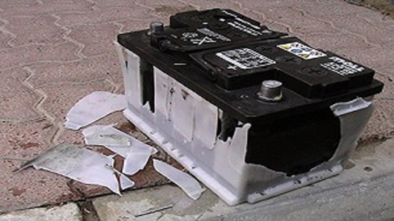 12259134_564.jpg