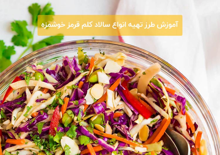 سالاد-کلم-قرمز-2.jpg