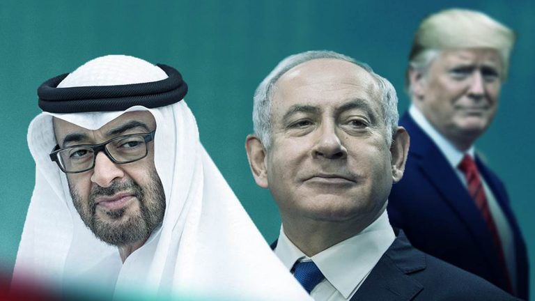 قالب-صور-وفيديو-15-768x432.jpg