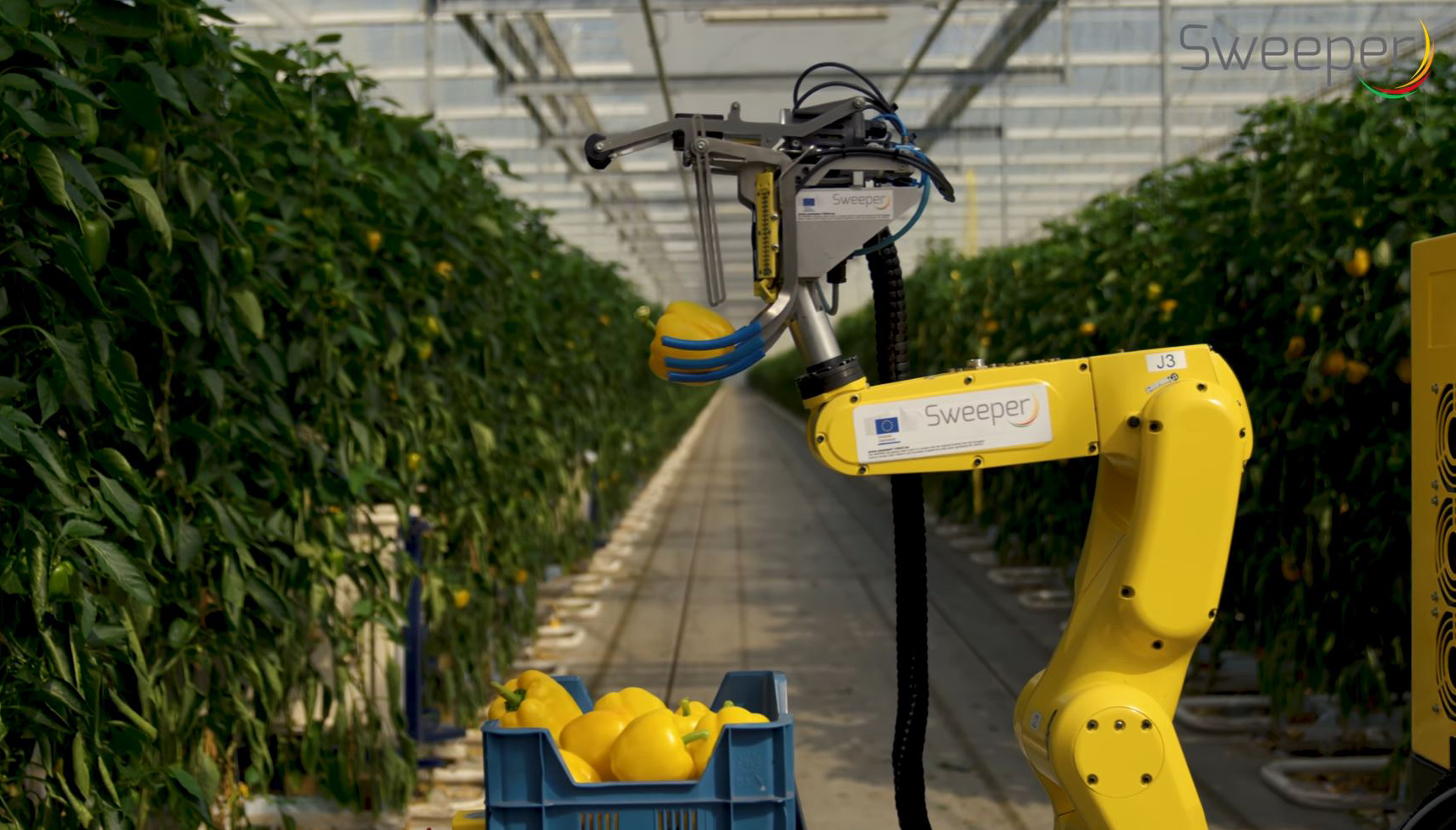 181221-sweeper-robot-pepper-cs-1112a_ea4bf64fe4b2c3cdbb24dd5672c606c7.jpg