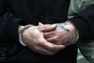 156798930.jpg