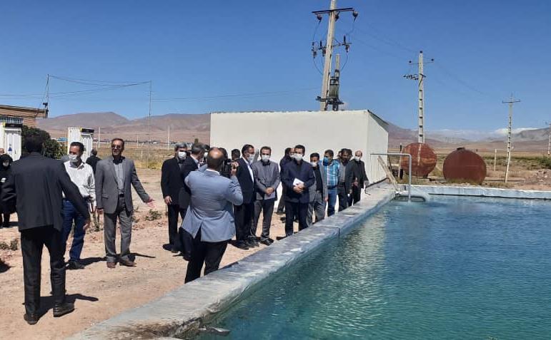 دکتر وحید سادات پور.jpg