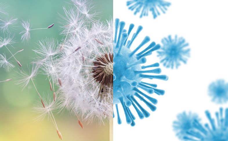 COVID-19_or_Seasonal_Allergies.jpg