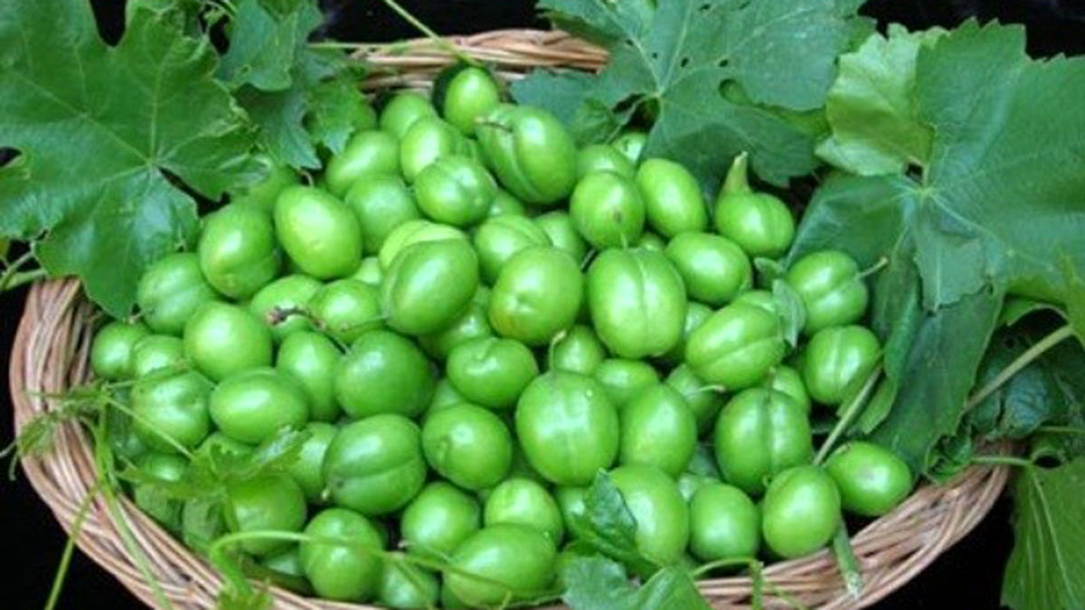 +علیرضا+بیرانوند.jpg